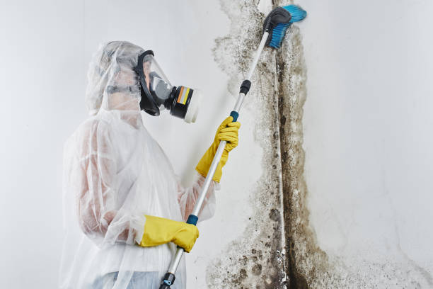 Water Damage Restoration in Chelan, WA
