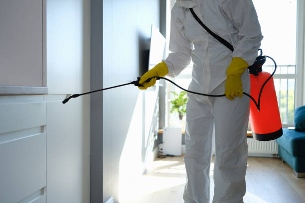 Best Crawl Space Mold Removal  in Chelan, WA